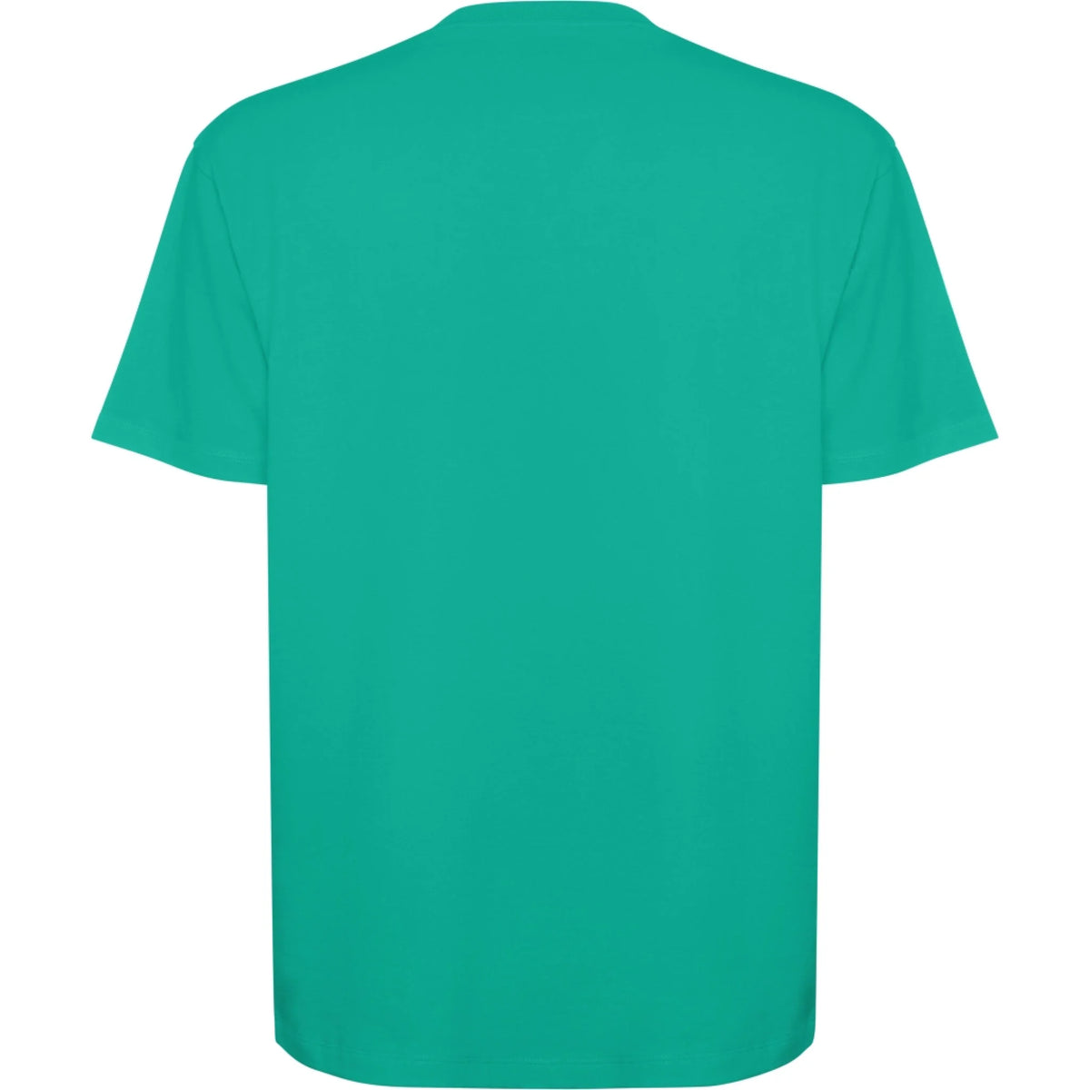 TIRČKO UNISEX OVERSIZE krátký rukáv s vaším motivem/fotkou Oversize tričko BULL potisk na záda nefritově zelená